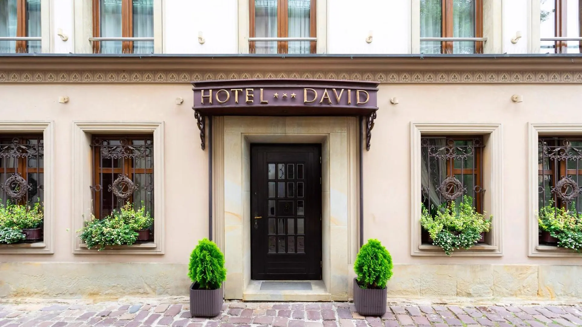 David Boutique Hotel Cracovia 3*,  Polonia